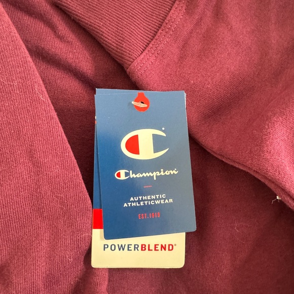 Large NTW Maroon/Burgundy Champion Hoodie - Picture 5 of 5